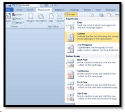 Column break from the Page Layout Ribbon.