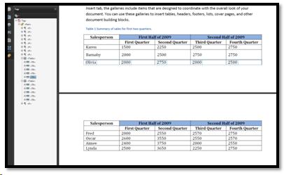 Table Tags in PDF document.