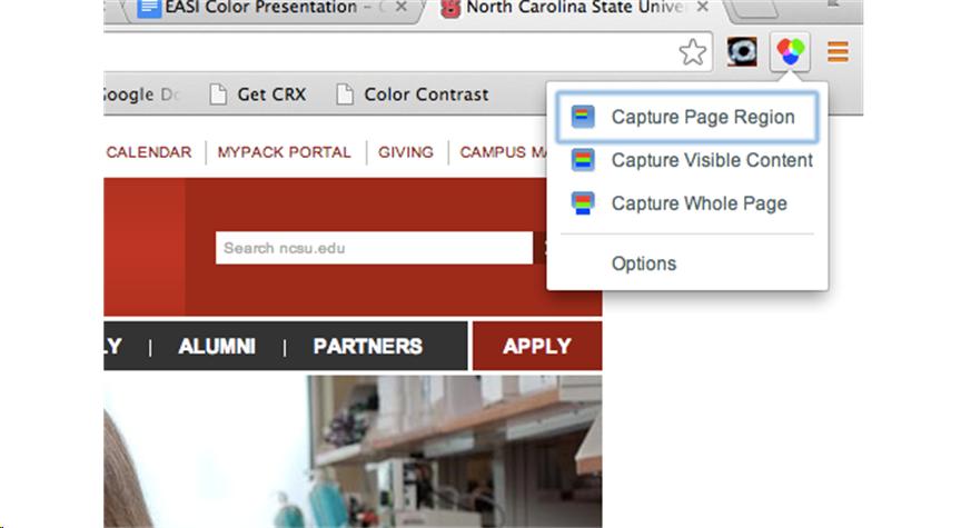 Color Contrast Analyzer for Chrome options menu, selcting from capturing a region of the page, the visible content, or the whole page