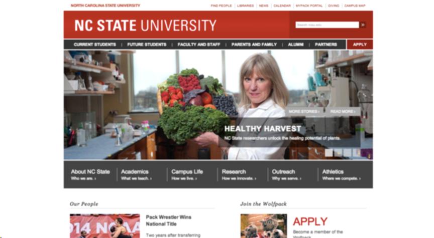 NC State University main web page with the NoCoffee filter applied, with all of the contents slightly blurred but the contents are still readable