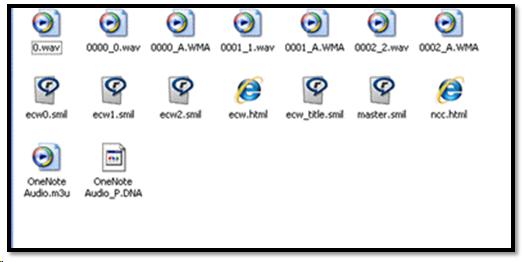 View of the files in a DAISY book.