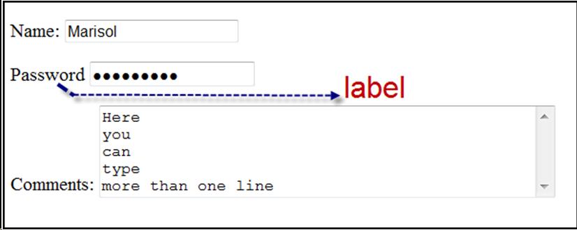 Screenshot of a form with a text field for 'name, a password field showing dots rather than letters and a text area for comments with the text " here you can type more than one line written in 5 lines. An arrow is pointing the wrord password to show that thats the label for that field