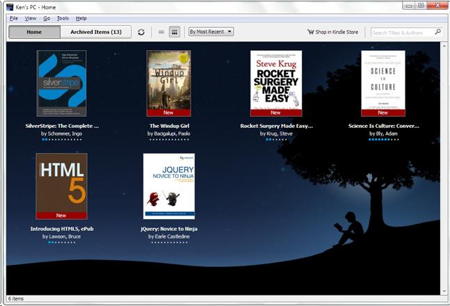 main library interface of Kindle for PC (with accessibility plug-in)