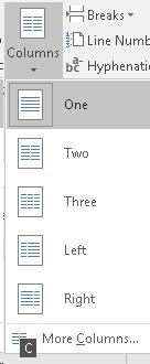 Columns Gallery in Word.