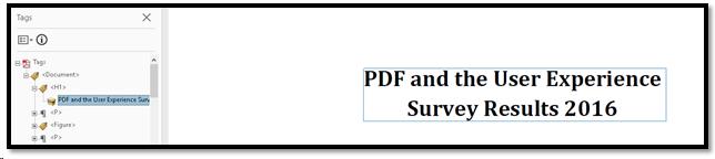 Heading 1 in a PDF document