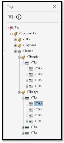 Close-up view of a correctly tagged Table in a PDF document.