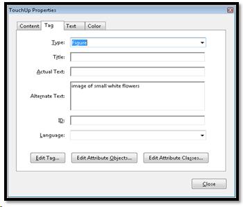 TouchUp Properties dialog in Adobe Acrobat.