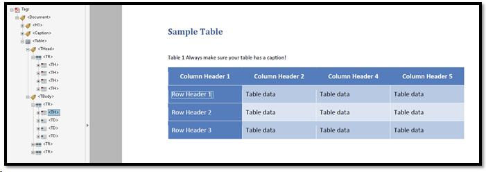 Sample of a correctly tagged Table in a PDF document.