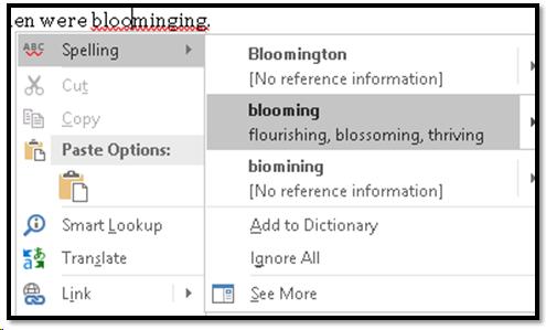 Definitions shown with suggestions for spelling corrections.