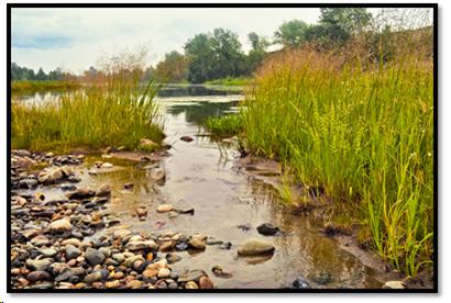 A creek leading to a small pond surrounded by grasses.