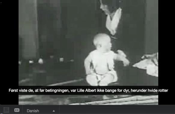 A clip from the Baby Albert conditioning video with Danish subtitles.