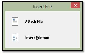 Attach the file or insert it as a printout