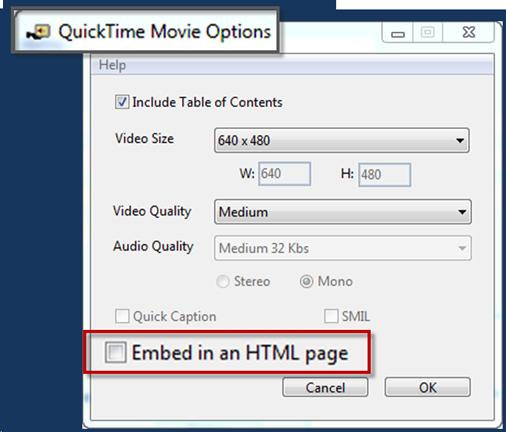 Screenshot of QuickTime movie export options