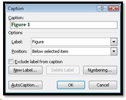 Caption dialog in Word 2007.