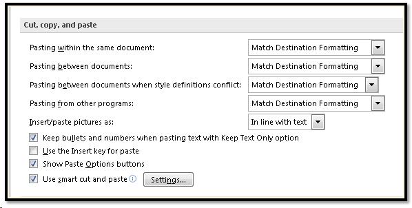 Copy and Paste Options in Word 2007.