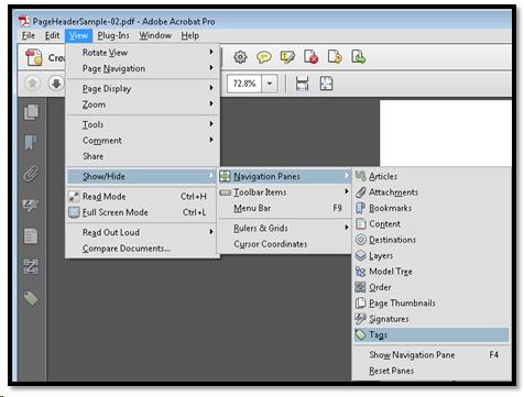 Process to show the Tags Panel.