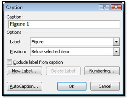 Caption dialog in Word 2007.