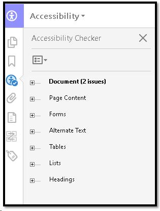 Accessibility Full Check Report