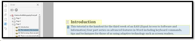 Order Panel showing content in document highlighted.