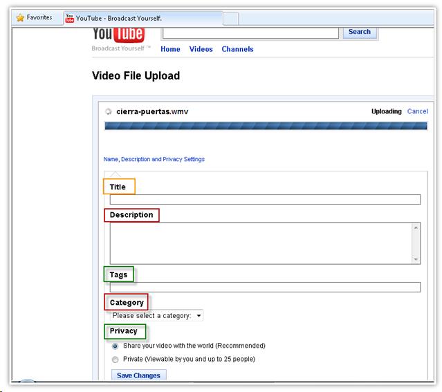 screenshot of the form to enter the video settings like Title, description, tags, category and privacy.