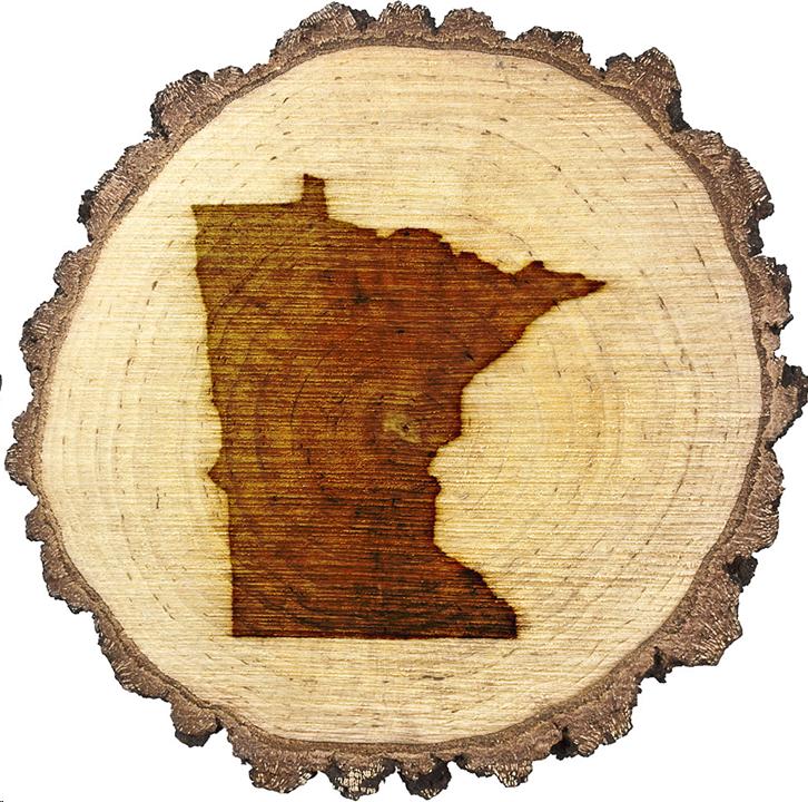 Shape of State of Minnesota burned into cut out view of a tree trunk