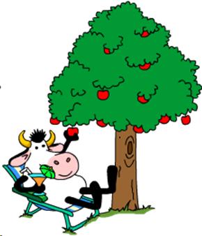 Cartoon cow sitting on a lawn chair in the shade of an apple tree, picking the low hanging fruit and sipping a margharita 