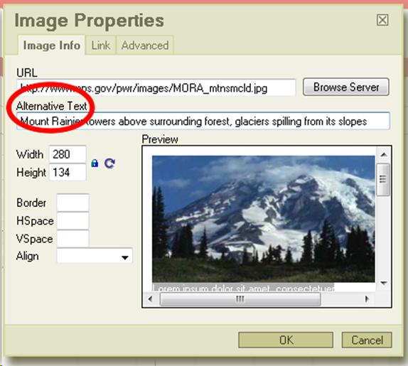 Screen shot of the Image Properties dialog from Angel, which includes a form field for entering Alternate Text. 