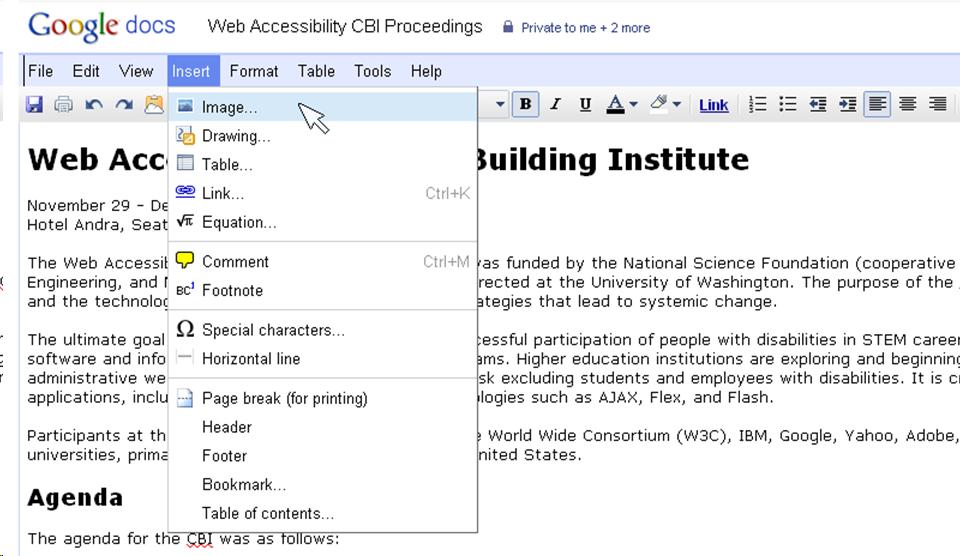 Screen shot from Google Docs, showing an interactive full-featured web application. This presents new challenges in making online content accessible.